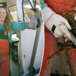 Maine lobster fisherman reveals why the crustaceans she catches taste ‘sweeter,’ ‘better’