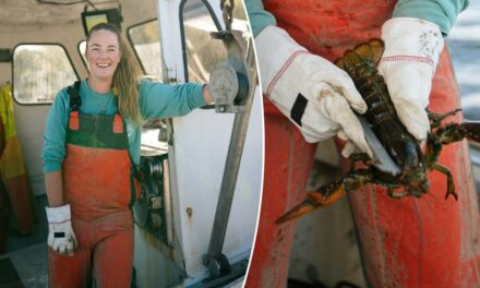 Maine lobster fisherman reveals why the crustaceans she catches taste ‘sweeter,’ ‘better’