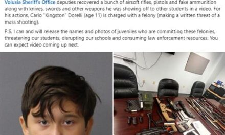 11-year-old Florida student arrested after boasting about arsenal of weapons, ‘kill list’