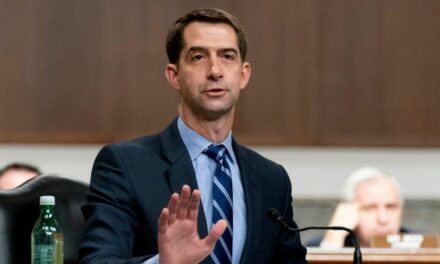 Tom Cotton spends 9 minutes embarrassing CNN anchor as she pushes false JD Vance accusation, Russian interference narrative