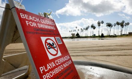 Toxic gas linked to cross-border sewage sparks public health scare in San Diego — but county rejects researchers’ findings