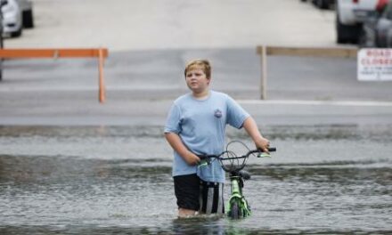 Ann Arbor again receives $1 million from EPA for climate resiliency projects