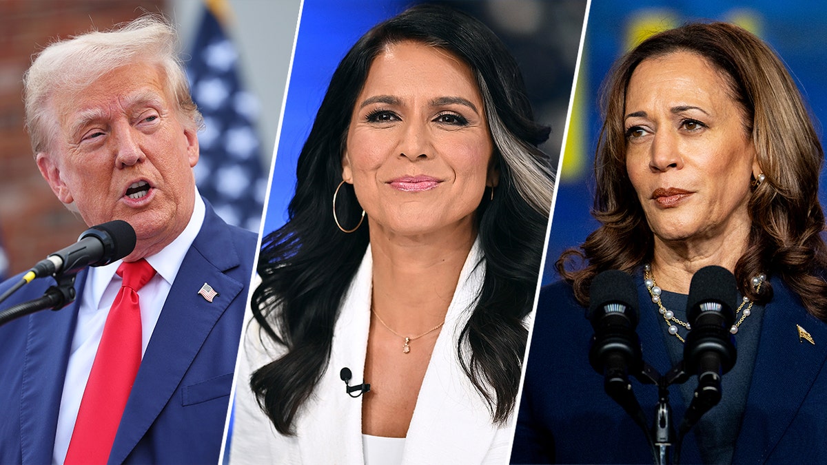 Former president Trump, Tulsi Gabbard and Vice President Kamala Harris split