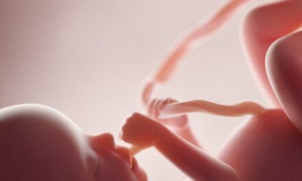 Media Admit Babies Are Aborted Weeks Before Birth Because They Are ‘Unwanted’