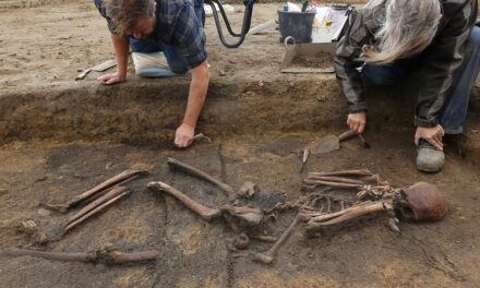 Dozens of ‘exceptionally well-preserved’ Viking skeletons unearthed in Denmark: ‘Truly Unusual’