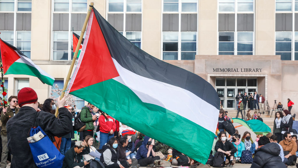 Pro-Palestinian demonstrators protesting the Israel-Hamas war