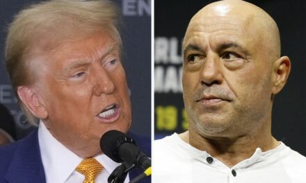 Rogan Shares Fascinating Behind-the-Scenes Moments of Trump Interview