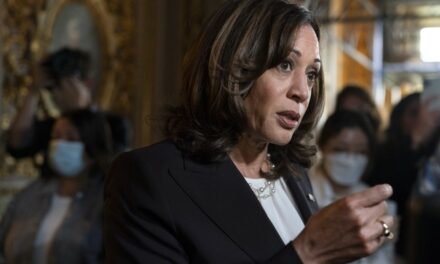 Here FOR IT! Kamala’s Terrible, No-Good Campaign Gets Worse as Even CNN Fact-Checks TF out of Her (Watch)