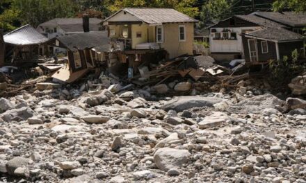 ‘ALL ABOUT MONEY’: Private Citizen Volunteering to Help with Helene Shares DAMNING Story About FEMA