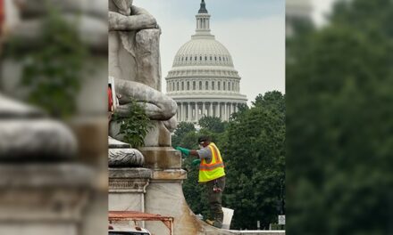 Anti-Israel Protester Self-Immolate Outside White House