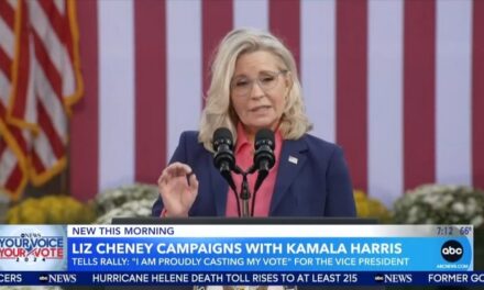 Nets Go GAGA For ‘Astonishing Sight’ of ‘Staunch Conservative’ Cheney Backing Kamala