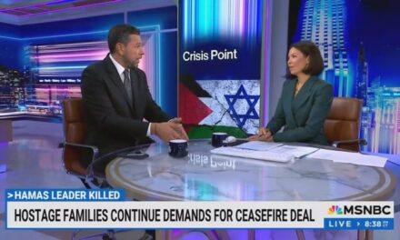 ‘Incredibly Haphazard’: MSNBC Israel Says Killing 10/7 Architect ‘Raises Questions’