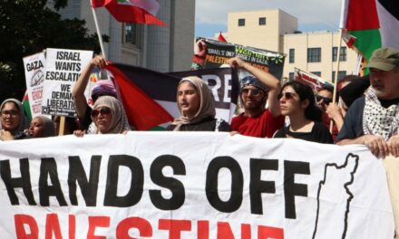 NO SENSE OF IRONY: Pro-Palestinian Protesters Liken Israelis to Nazis—Across From Holocaust Museum