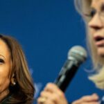 Kamala Harris’ Vanishing ‘Vibes’