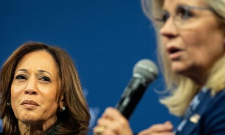 Kamala Harris’ Vanishing ‘Vibes’