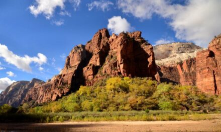 Man falls 200 feet to his death at Utah’s Zion National Park