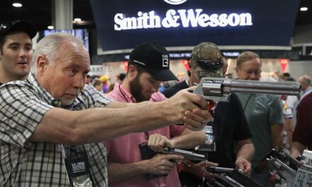 Can US Gun Manufacturer, Distributor Be Held Liable for Cartel Crime? Supreme Court to Rule.