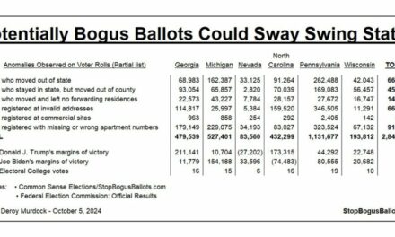 Common Sense Elections Aims to Stop Bogus Ballots