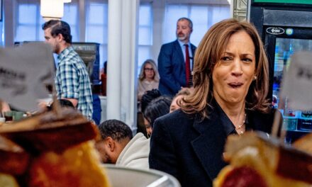 Kamala Harris Supporters Don’t Know Her Most Controversial Policy Positions