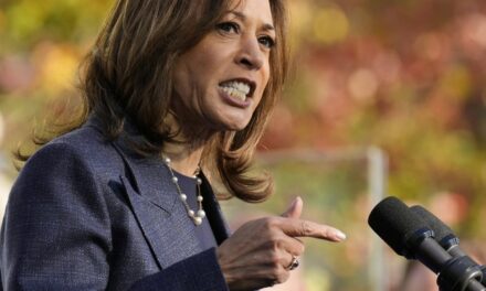 Kamala: I Oppose Political Violence but *Wink Wink* Trump ‘IS a Threat to America’