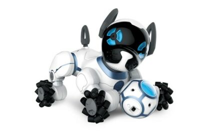 See Spot. See Spot Run. See Spot Catch Crooks: Meet the LAPD’s Robot Dog.