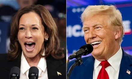 Harris and Trump tied in battleground Michigan, Senate race on razor’s edge: AARP poll