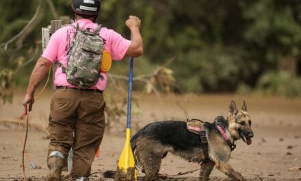 Heroes of the Hurricane: From Dolly Parton to a Bunch of Mules