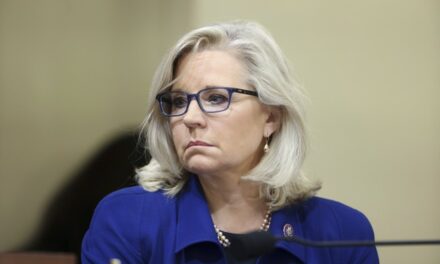 OOF! X Has SO MUCH Fun at Liz Cheney’s Expense Mocking the Look on Her FACE During Kamala Town Hall Event