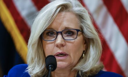 Zip It! Liz Cheney Wants Her Own Election Day Version of ‘A Quiet Place’