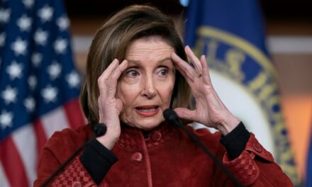 An American Patriot Boards a Flight with Nancy Pelosi and Absolute Hilarity Breaks Out