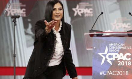 Dana Loesch Has a Perfect Optics Flashback After Josh Hawley’s Opponent Injured a Journo While Shooting