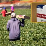 Thousands Of Migrant Farmworkers Head North In Preparation For The Democrat Ballot Harvest