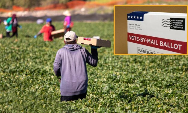 Thousands Of Migrant Farmworkers Head North In Preparation For The Democrat Ballot Harvest