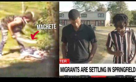 Springfield resident films Haitian migrant cutting up animal in yard of “pet-friendly” apartment complex featured on CNN