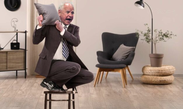 Terrified Tim Walz Stands On Chair All Day Waiting For Wife To Get Home And Kill Spider