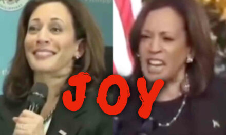 I put two videos back-to-back of (completely sober) Kamala Harris so we can all experience her JOY