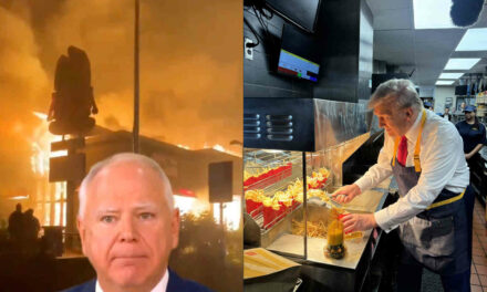 Man Who Let Rioters Burn Down Fast-Food Joints Says Trump “Disrespected” McDonald’s Workers By Making French Fries