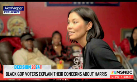 Please watch this MSNBC reporter struggle to deal with the opinions that black voters have about Kamala Harris