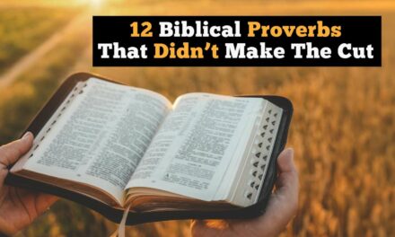 12 Biblical Proverbs That Didn’t Make The Cut