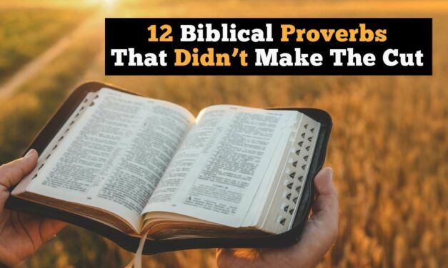 12 Biblical Proverbs That Didn’t Make The Cut