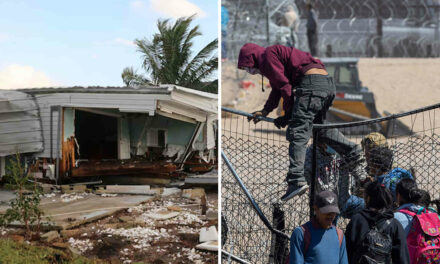 Almost all the looters caught in one Florida county after the hurricanes were illegal migrants