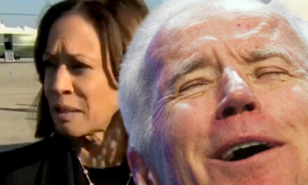 Kamala was asked about Biden calling Americans “garbage” and she responded in the most Kamala way possible