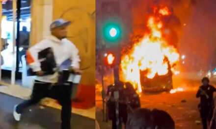 The mostly-peaceful types celebrated the Dodgers’ win by burning buses and looting stores. Watch them in action.