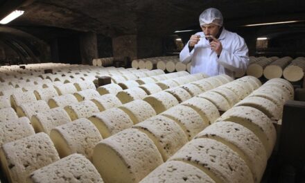 Massive Cheese Heist in London: Authorities Describe Thieves’ Plan as Brie-lliant