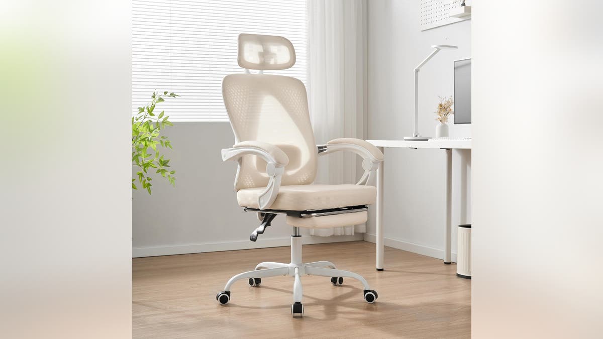 Keep your back and shoulders comfortable all day in your brand-new ergonomic office chair. 