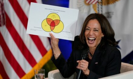 Make It STOP! Look on Man’s FACE Behind Kamala As She Rambles About … Something Is PRICELESS (Watch)