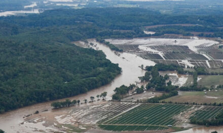 Tennessee Nurse and Dog Die as Heroes Trying to Save Man Stranded in Floodwaters