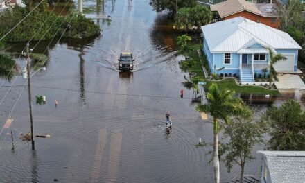 Flesh-eating bacteria cases in Florida rise after back-to-back hurricanes