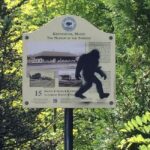 Bigfoot Makes His TikTok Debut. Except, It Isn’t Bigfoot. Bigfoot Doesn’t Exist.