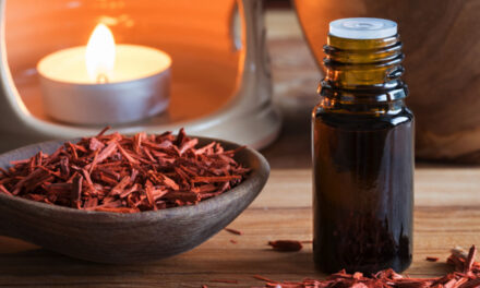 Powerful healing properties of sandalwood essential oil